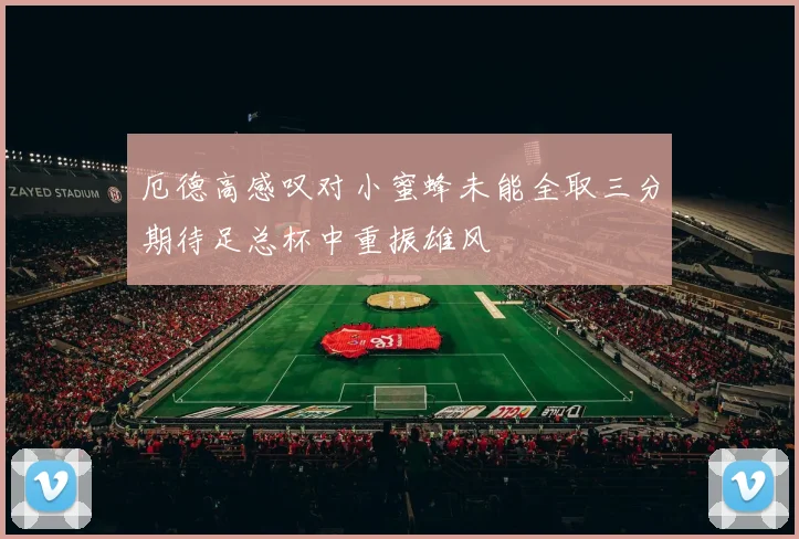 厄德高感叹对小蜜蜂未能全取三分期待足总杯中重振雄风