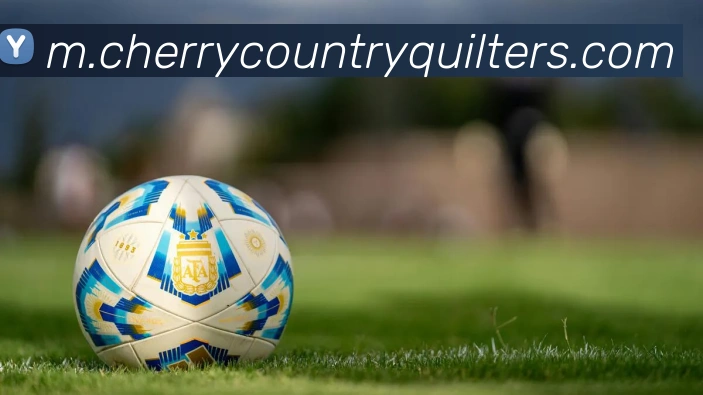 博鱼体育APP 封面图